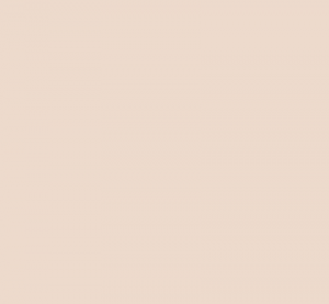 Paleta color colección 2021 color salmon web Isalda