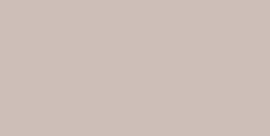 Paleta color colección 2021 color tostado web Isalda