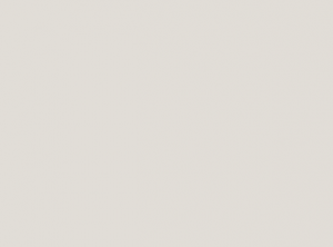 Paleta color colección 2021 color gris calido web Isalda